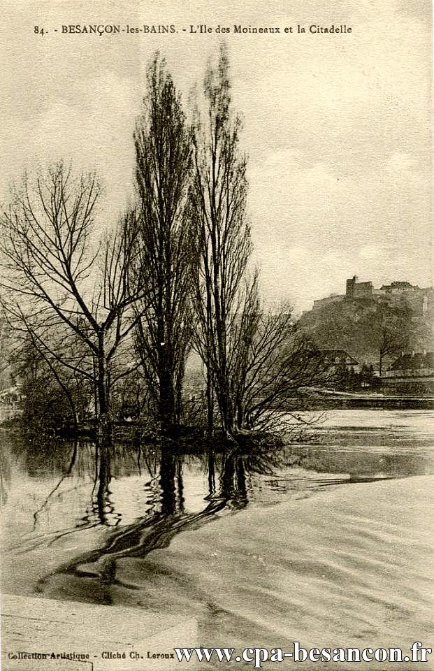 84. - BESANÇON-les-BAINS. - L'Ile des Moineaux et la Citadelle